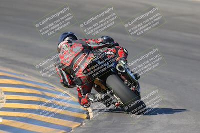 media/Nov-12-2023-SoCal Trackdays (Sun) [[5d1fba4e7d]]/Turn 10 Backside (115pm)/